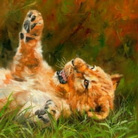 Ispis plakata mladunče lava na travi Davida Striblinga