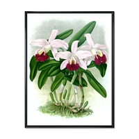 DesignArt 'Bijeli vintage orhideja cvijet I' Tradicionalno uokvireno platno zidne umjetničke tisak