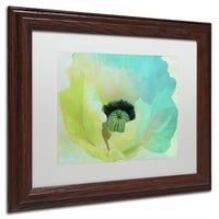 Zaštitni znak likovna umjetnost Poppy Gradient I Canvas Art by Color Bakery White Matte, drveni okvir