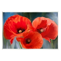 Podebljana crvena maka cvjetna trio botanički i cvjetni slika