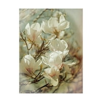Prepoznatljiva likovna umjetnost magnolije u vintage stilu na platnu Brooke T. Rian