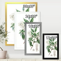 DesignArt 'drevni botanički proizvodi X' Tradicionalni uokvireni umjetnički tisak