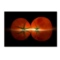 Zaštitni znak likovna umjetnost 'rajčice' platno umjetnost Wieteke de Kogel