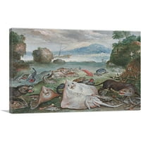Mrtvi život ribe na plaži s pečatom i vidrskim platnenim umjetničkim tiskom Jan Van Kessel Elder - Veličina: 18