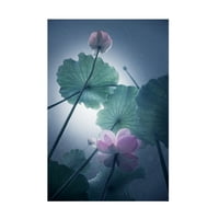 SHANYEWUYU 'Lotus' platno umjetnost