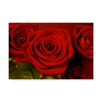 Zaštitni znak likovne umjetnosti 'crvene ruže' platno umjetnost Tom Quartermaine