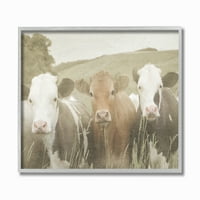 Stupell IndustriesHappy susjedi krave u poljskom zidnom umjetnosti Daphne Polselli