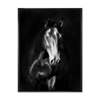 Izbliza portret crnog Kladruby konja uokvirenog fotografskog platna umjetnički tisak