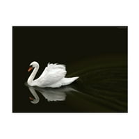 Ben Heine 'Swan 2' platno umjetnost