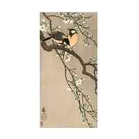Ohara Koson ptice pjevice na grani trešnje prije 1910. ulje na platnu