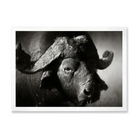 DesignArt 'Crno -bijeli portret Buffalo II' Farmhouse uokvireni umjetnički tisak