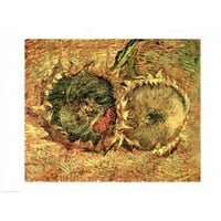 Ispis plakata dva rezana suncokreta Vincenta Van Gogha - u