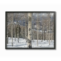 Kolekcija kućnog dekora _ zimske breze uokvirena fotografija teksturirana zidna umjetnost _ _ _ _ _ _ _ _ _ _