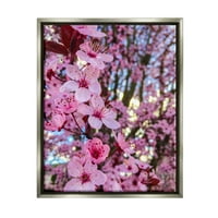 Stupell proljetna cvjeta trešnje stablo priroda Botanička i cvjetna fotografija sivi floater uokvireni umjetnički