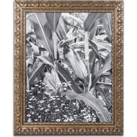 Zaštitni znak likovna umjetnost kukuruzno polje 2 platno umjetnost Jason Shaffer, zlatni ukrašeni okvir