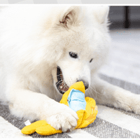 Plišane igračke za pse, Izdržljiva mekana škripava igračka za agresivne glodavce malih, srednjih i velikih pasmina,