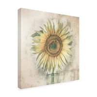 Kerstin Kaufmann 'Sunflower 2' Canvas Art