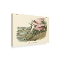 Zaštitni znak likovne umjetnosti 'roseate Spoonbill Pink' Canvas Art by John James Audubon