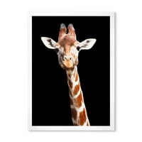 DesignArt 'Izbliza portret žirafe na crnoj v' Farmhouse uokvirenom umjetničkom printu
