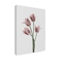 Zaštitni znak likovne umjetnosti 'Tulips Pink Fabrikken' platno umjetnost dizajna Fabrikken