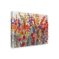 Zaštitni znak likovne umjetnosti cvjetno platno zidna umjetnost 'Variety of Flowers II' Tim Otoole