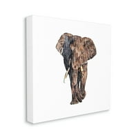 Stupell Glam simbol Divlje životinje Slonovi životinje i insekti Slikanje galerije zamotano platno print zidna