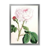DesignArt 'drevni ružičasti cvijet' tradicionalni uokvireni umjetnički tisak