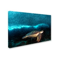Zaštitni znak likovne umjetnosti 'kornjače i sardine' platno umjetnost Henryja Jagera