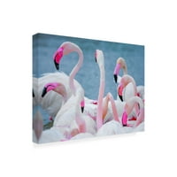 Ben Heine 'plamen flamingosa 2' platna umjetnost