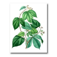 DesignArt 'Drevni zeleni listovi biljke III' Tradicionalno platno zidno umjetnički tisak