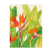 Zaštitni znak likovna umjetnost 'akvarelni tropsko cvijeće iv' platno umjetnost Tima Otoole
