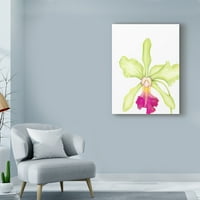 Zaštitni znak likovna umjetnost 'Small Orchid Beauty III' platno umjetnost Jennifer Goldberger