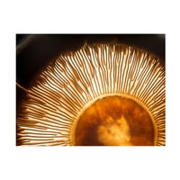Wieteke de Kogel 'Portobello gljiva' platno umjetnost