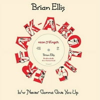Brian Ellis-Number-Number-Number-vinil