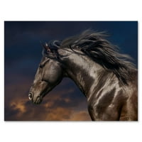 Izbliza od čistokrvnih nonius pallion konja III Photography Canvas Art Print