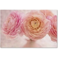 Zaštitni znak likovna umjetnost 'Pink Perzijski Buttercup Bouquet' platno umjetnost Cora Niele