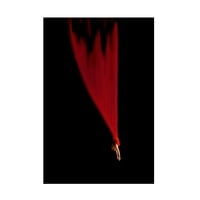 Mirela Momanu 'Falling Star' platno umjetnost