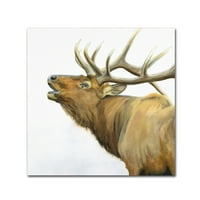 Zaštitni znak likovna umjetnost 'Majestic Elk Brown Crop' platno umjetnost Jamesa Wiensa