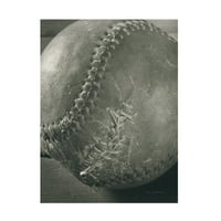 Ed Goldstein 'bejzbol' platno umjetnost